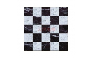 YY-P009