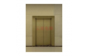 YY-T001