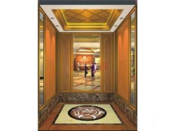 YY-S006