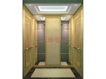 YY-S010